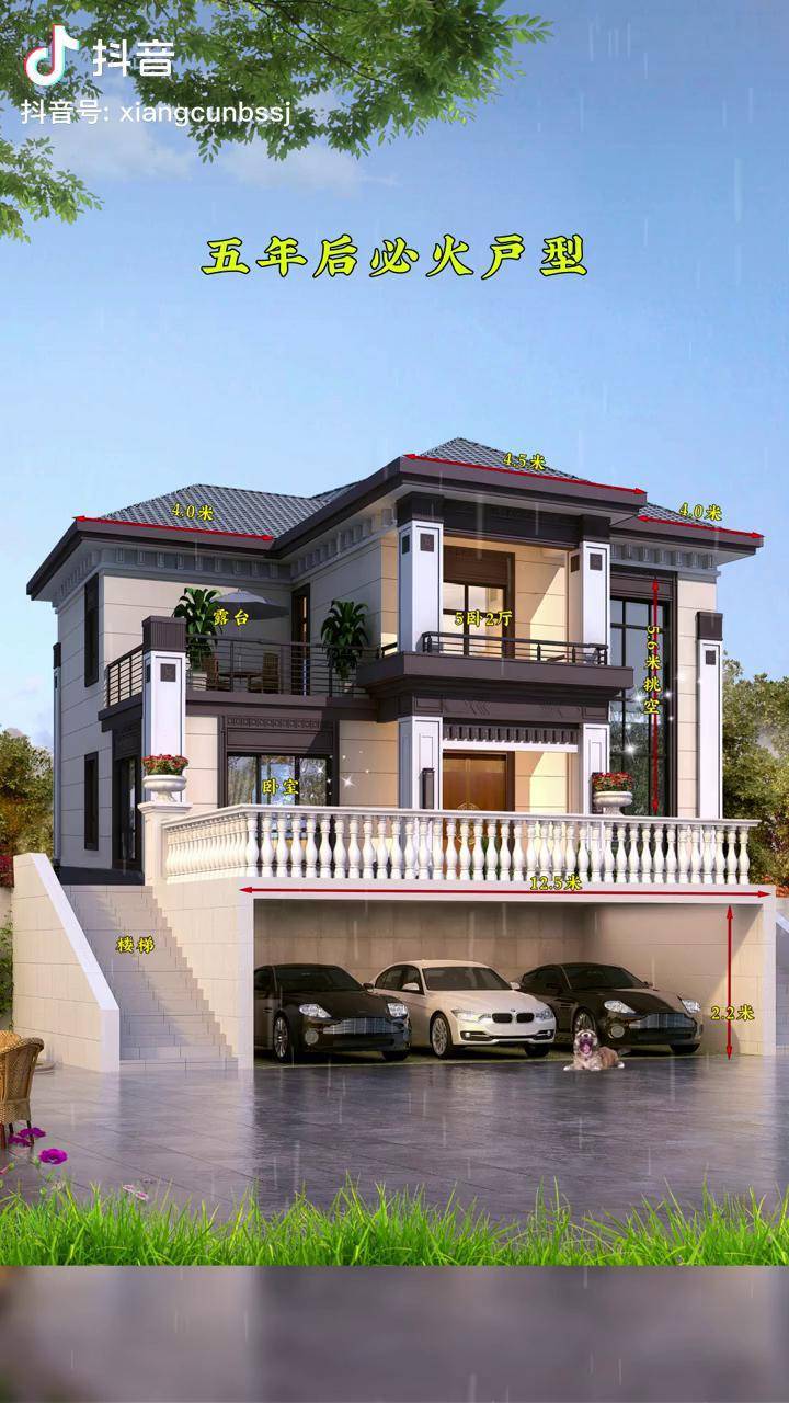 农村自建房 别墅设计_农村_架空_户型