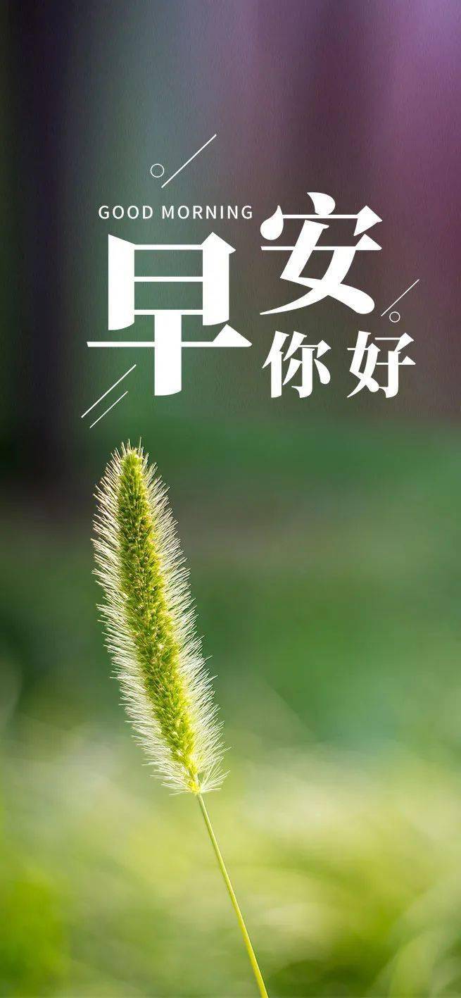 早上好祝福语图片,农历六月二十_为了在_内心_旅行