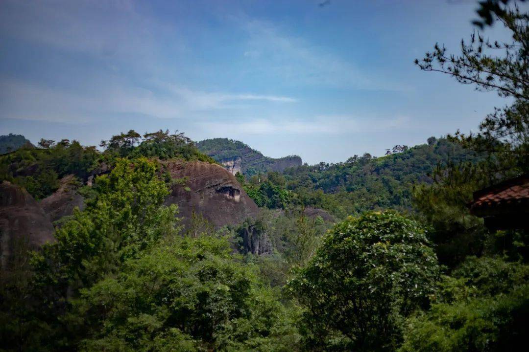 山场说 | 马头岩,一片未凿的天真_肉桂_自然_岩头