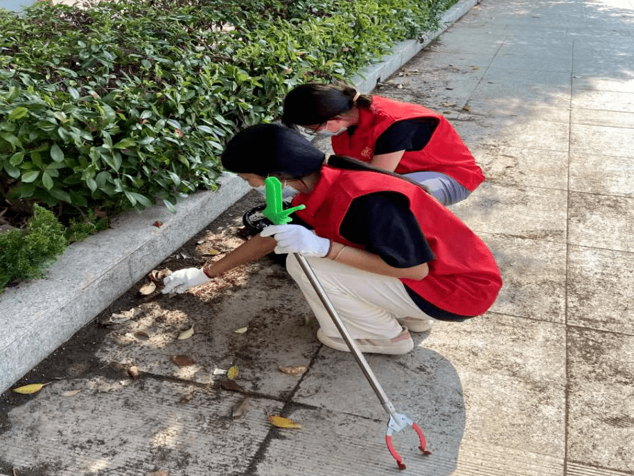 暑期三下乡社会实践 菏泽高校学子在行动