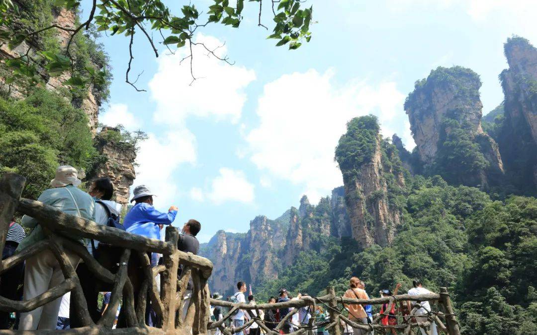 旅游景点一房难求，应对报复性反弹也需未雨绸缪