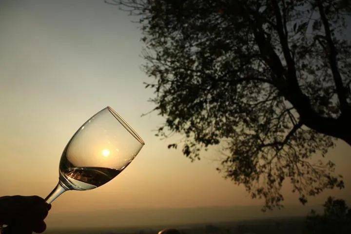 酒杂谈|喝一杯美酒 鼓励一下自己_依心而_才会_于无求