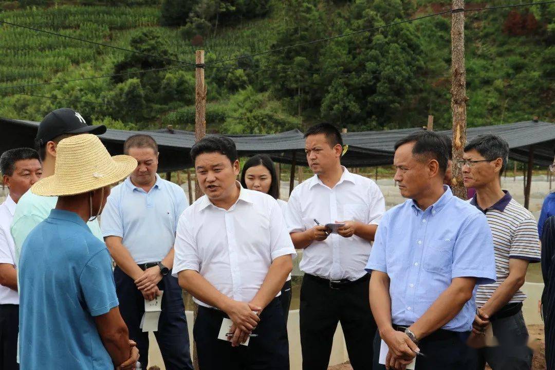 7月20日,县委书记瓦庆超,县委副书记,县长白文华率队到因远镇开展重点