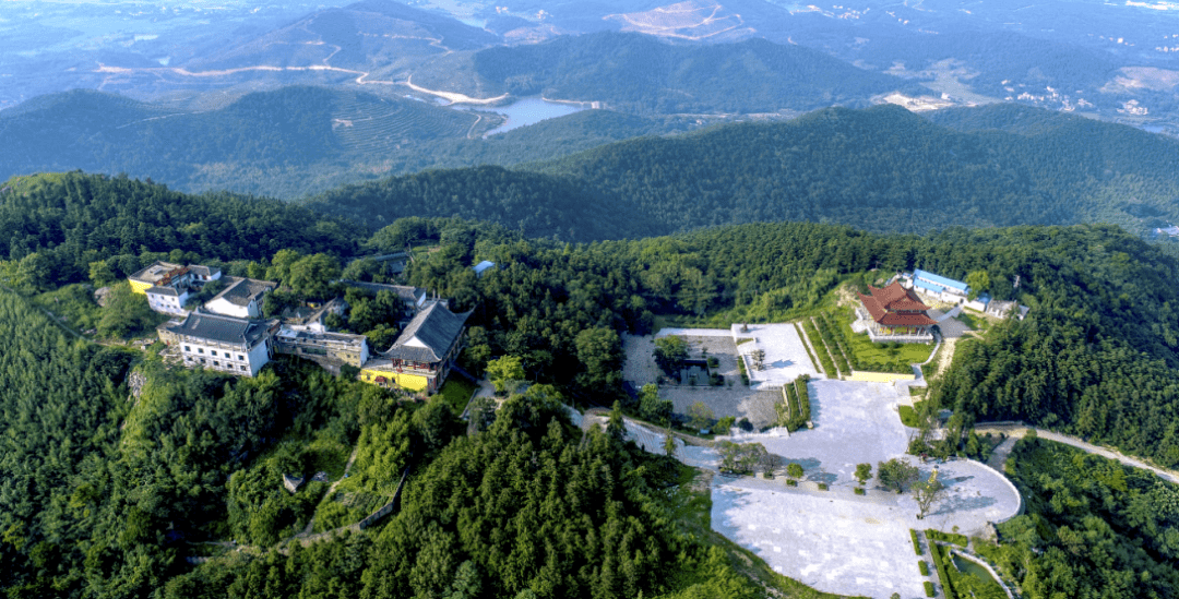 冶父山慢生活,越过"山丘",栖息于此～～_银杏_庐江_冶父山镇