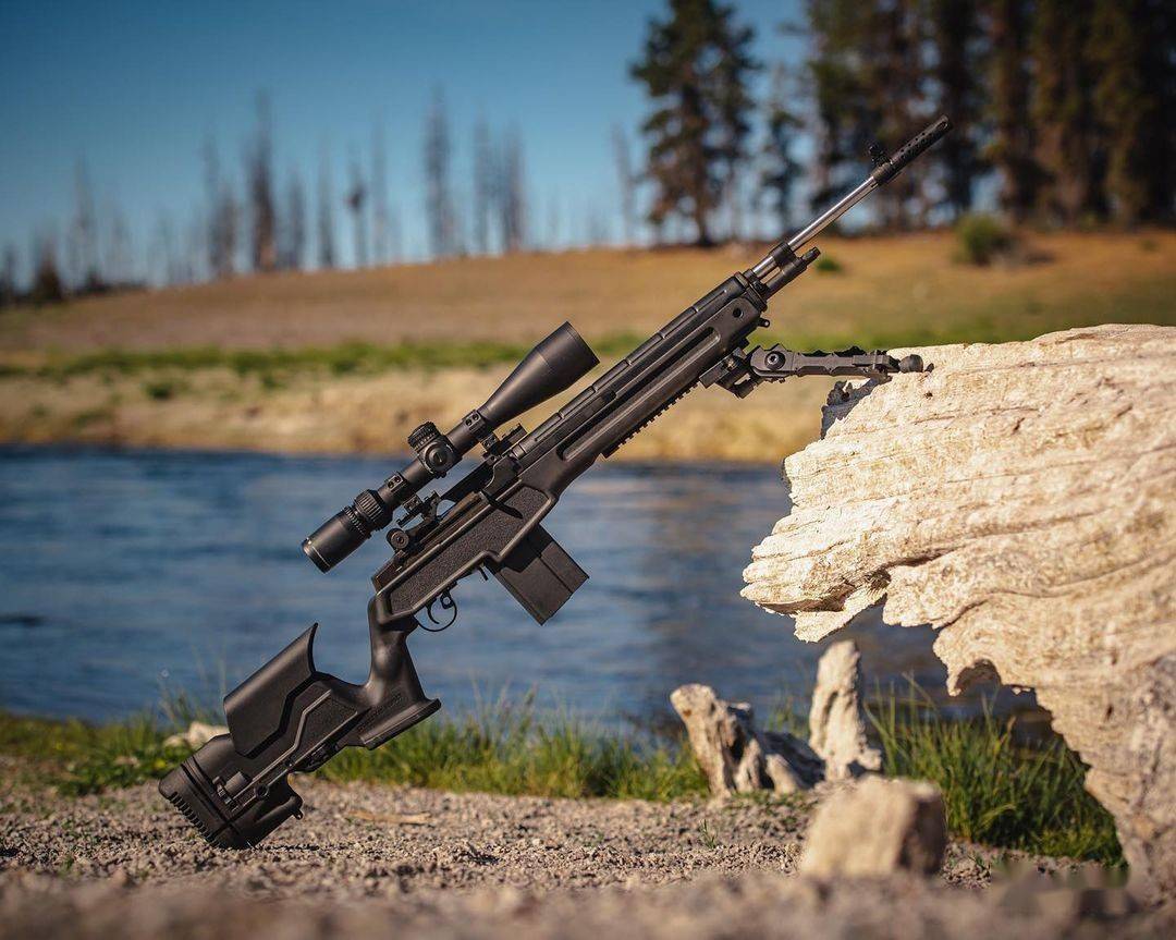 springfield armory 步枪美图欣赏_armory_步枪