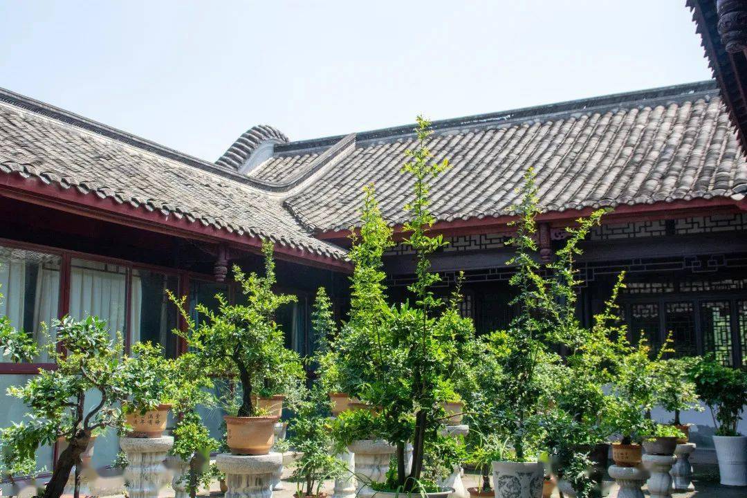 三邑园艺——大暑将至,此去闲游_盆景_艺术_温江