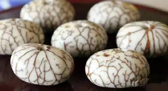 菩提子到底是啥?带你一次看个够(多图)_种子_植物_金刚