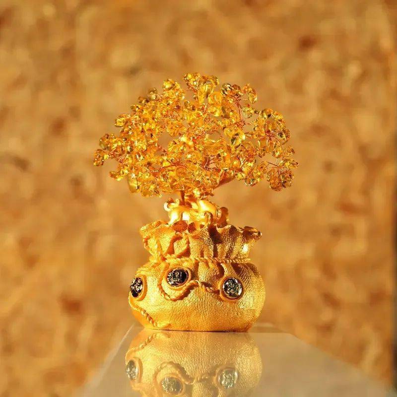 传说中的摇钱树竟然真的存在