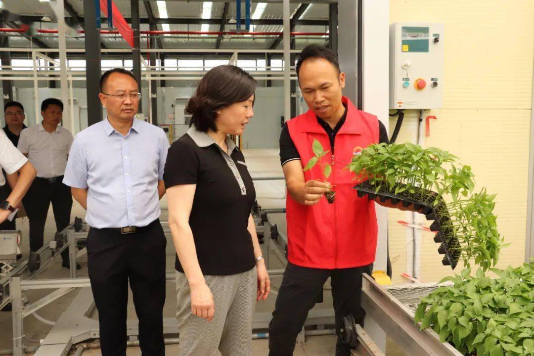 省委副秘书长朱桂云率队到开阳调研"三农"工作_农业_建设处_农田