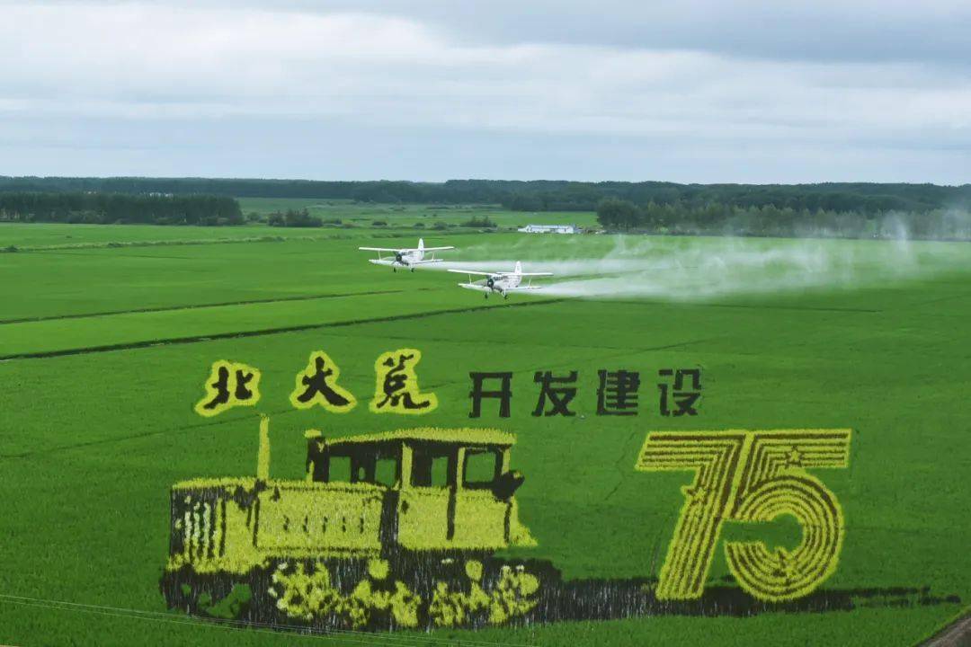 北大荒绿色农药系统化管控项目调研组到八五六农场有限公司调研