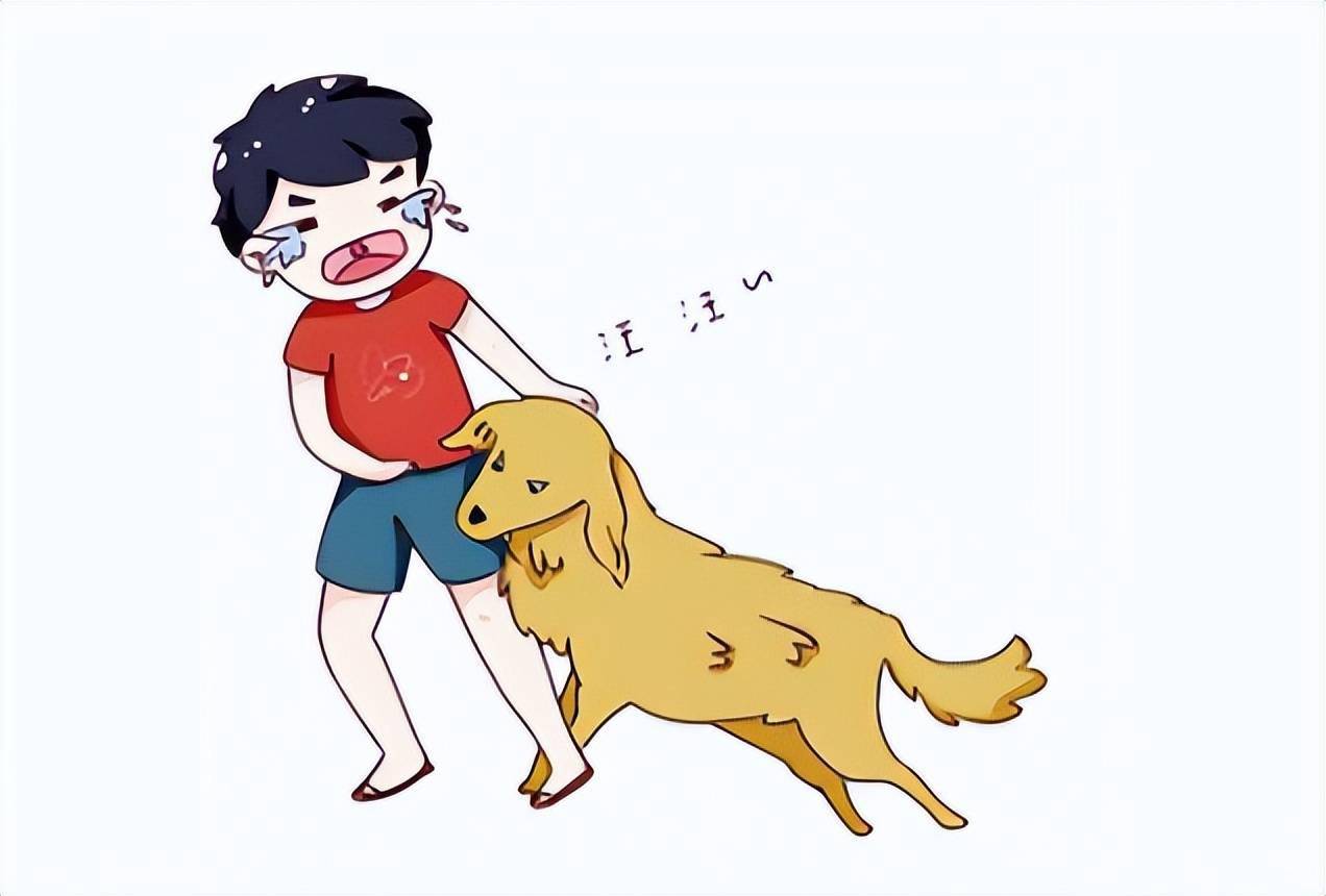 【北京疾控提醒您】夏季动物致伤增多,需要关注这种动物源性传染病!