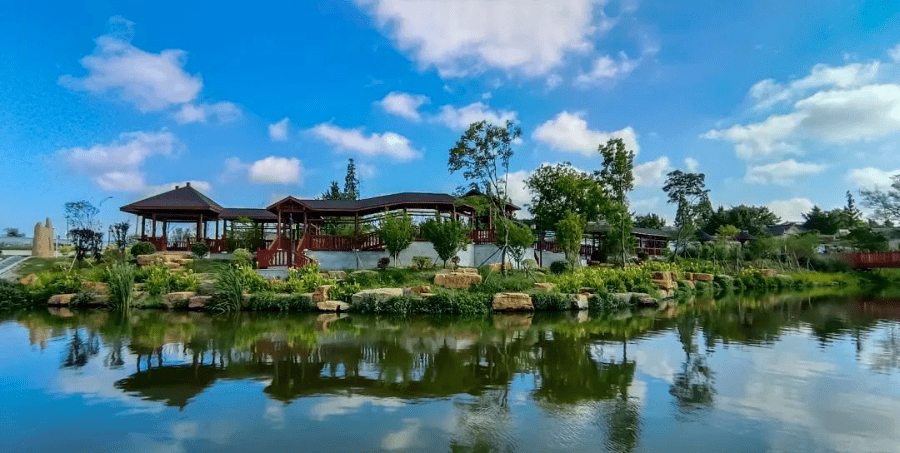 泰州里下河美图美景伴你清凉一夏