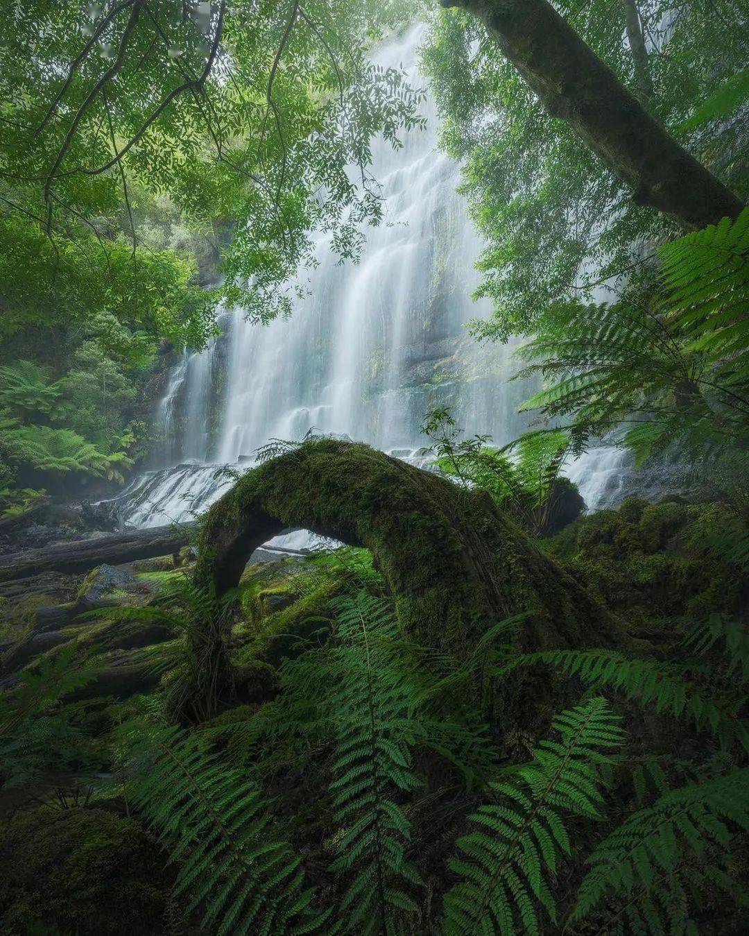 乔吉《水仙子·重观瀑布》石壁高垂雪练寒.