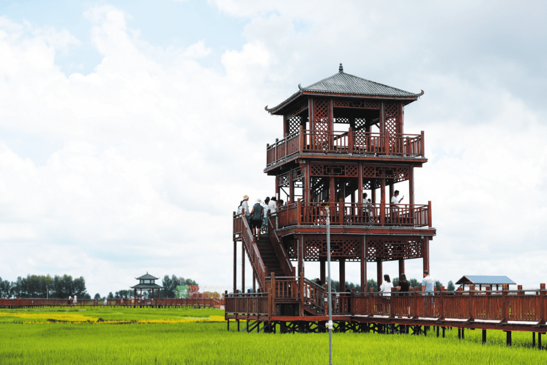 "稻田公园由大遐畜牧场投资建设,现由乾安稻语花乡旅游开发有限公司
