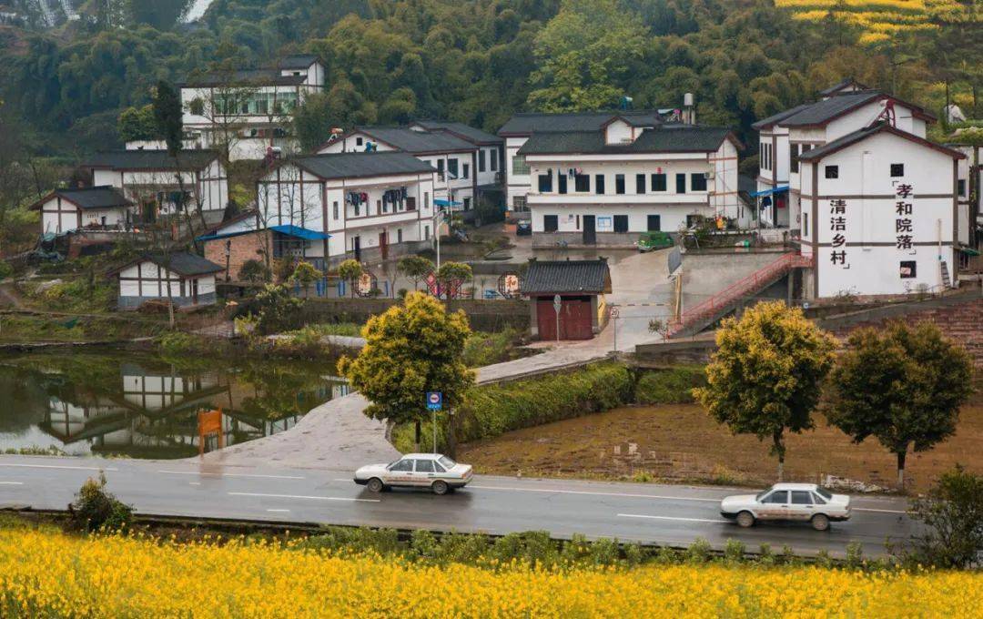 先锋引领大安街道五轮驱动赋能乡村振兴