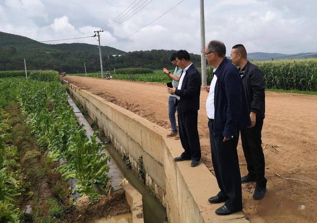 王远到禾甸镇调研指导冰雹灾害生产自救工作