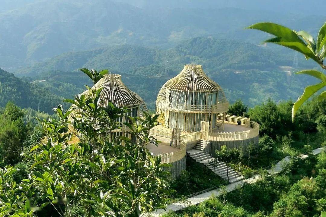 霞浦避暑哪里去涌山森林公园等你来