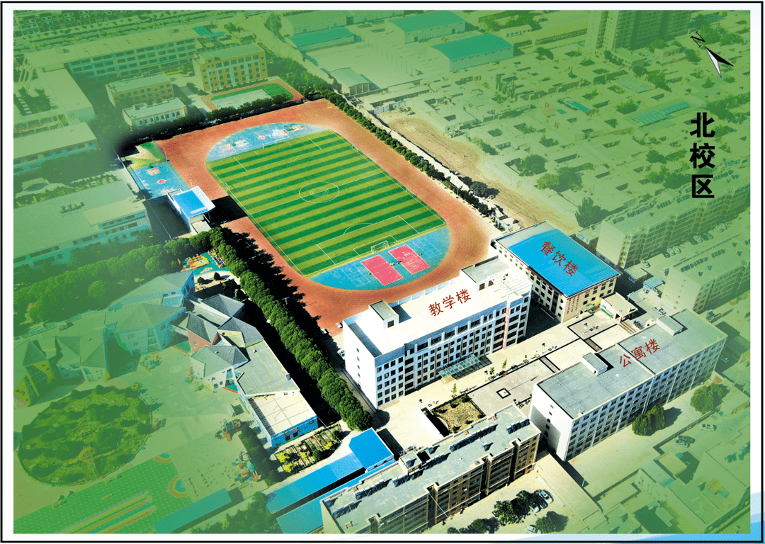 我的民勤四中印象贺映那棵树那些人