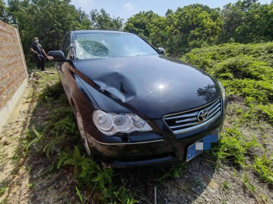 阳江一男子撞死人逃逸!