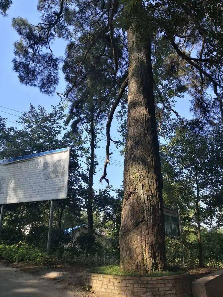 中国传统村落——泸溪县新寨坪村