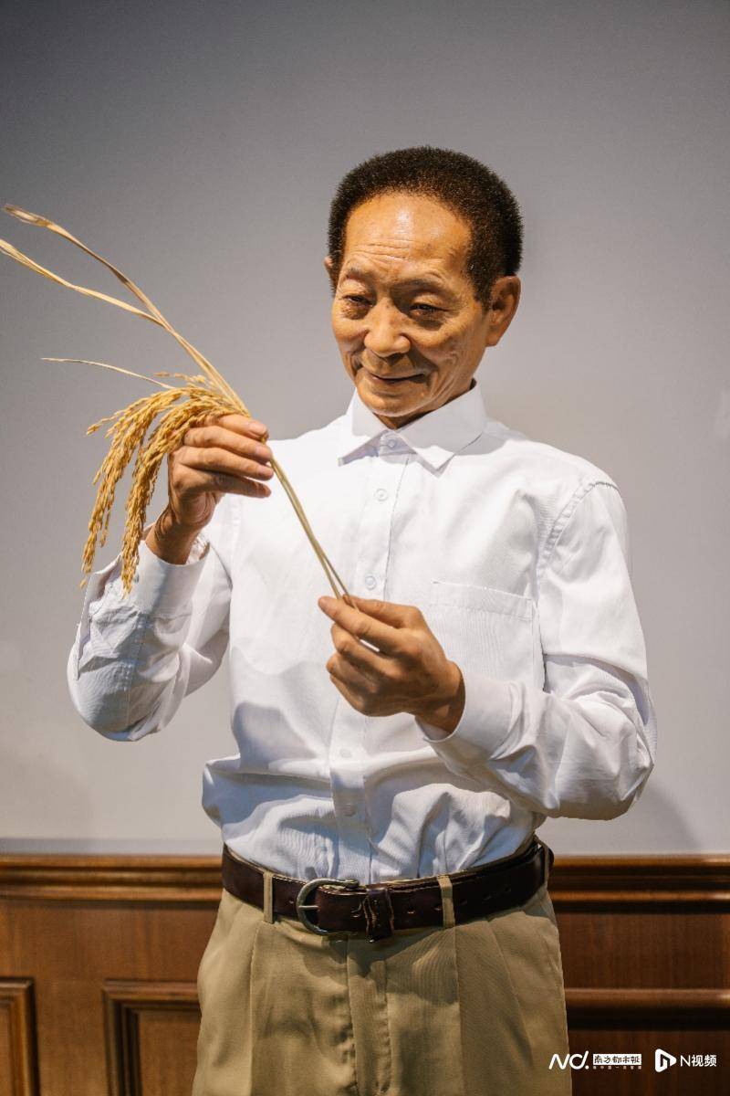 杂交水稻之父袁隆平院士.