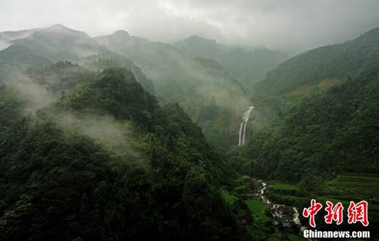 探访广西元宝山国家级自然保护区