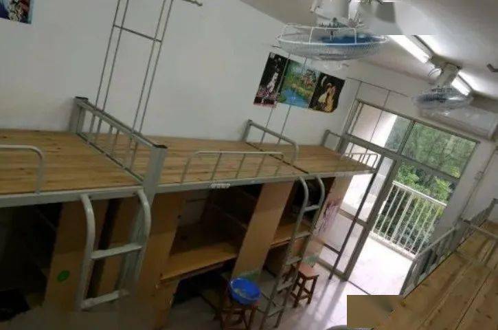 27,仲恺农业工程学院26,广东警官学院25,广州航海学院24,广州大学23