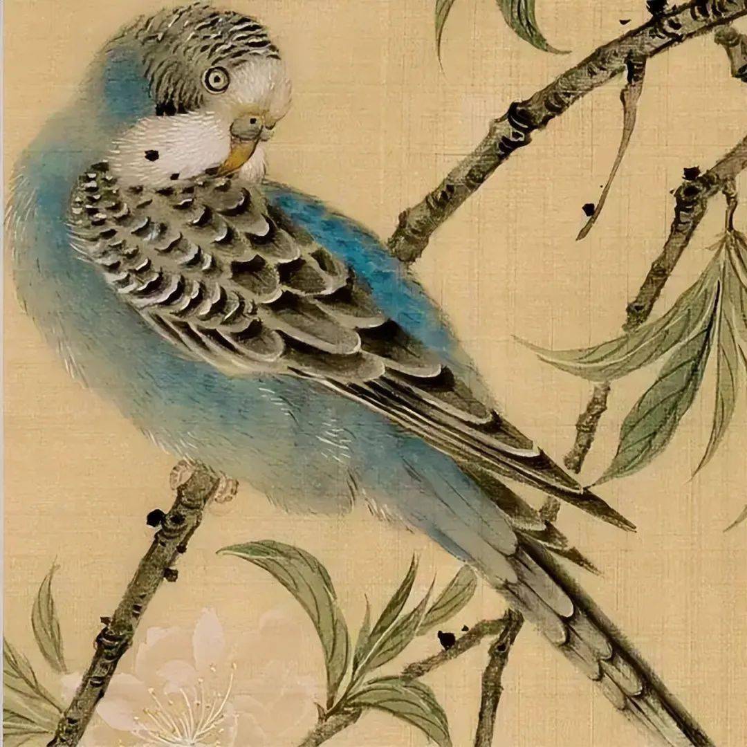 【艺术世界】雒文娟的花鸟画笔墨细腻,清雅不俗_绘画_画面_宋元