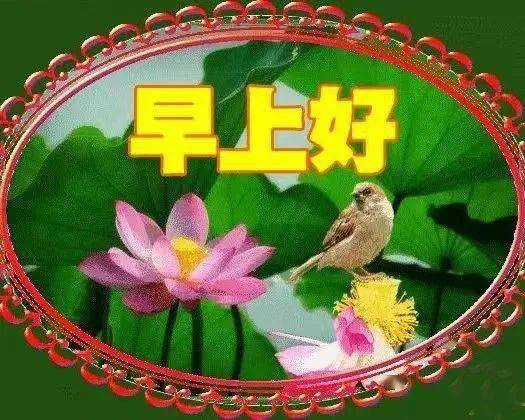 早安馨语愿你幸福快乐每一天