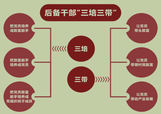 邛崃红色美丽村庄建设记(一)_双诺_组织_发展