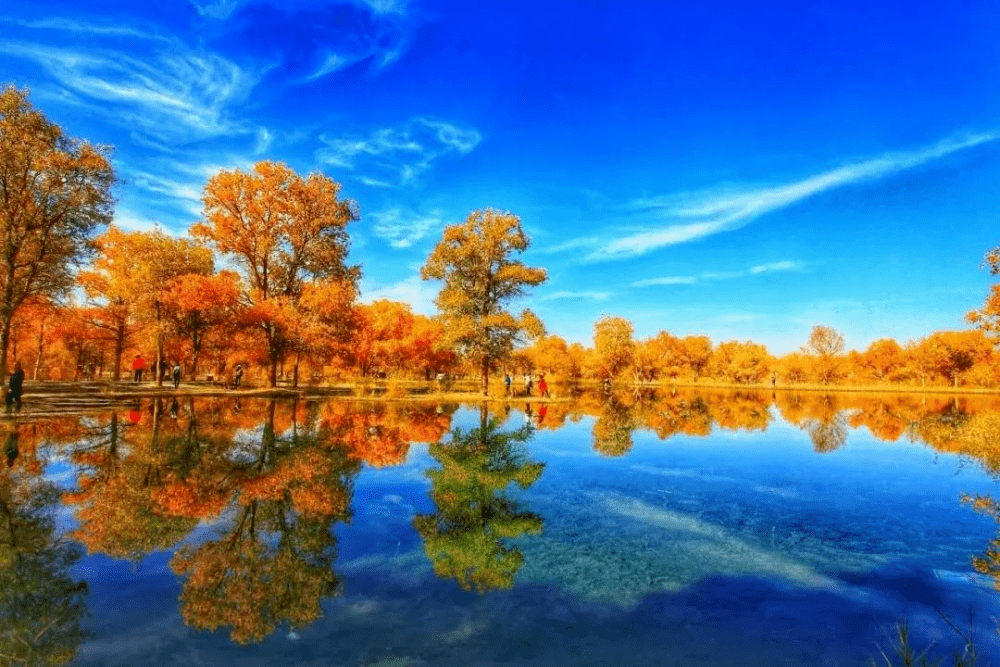 全国15个额济纳胡杨林入列中国首批天气气候景观观赏地