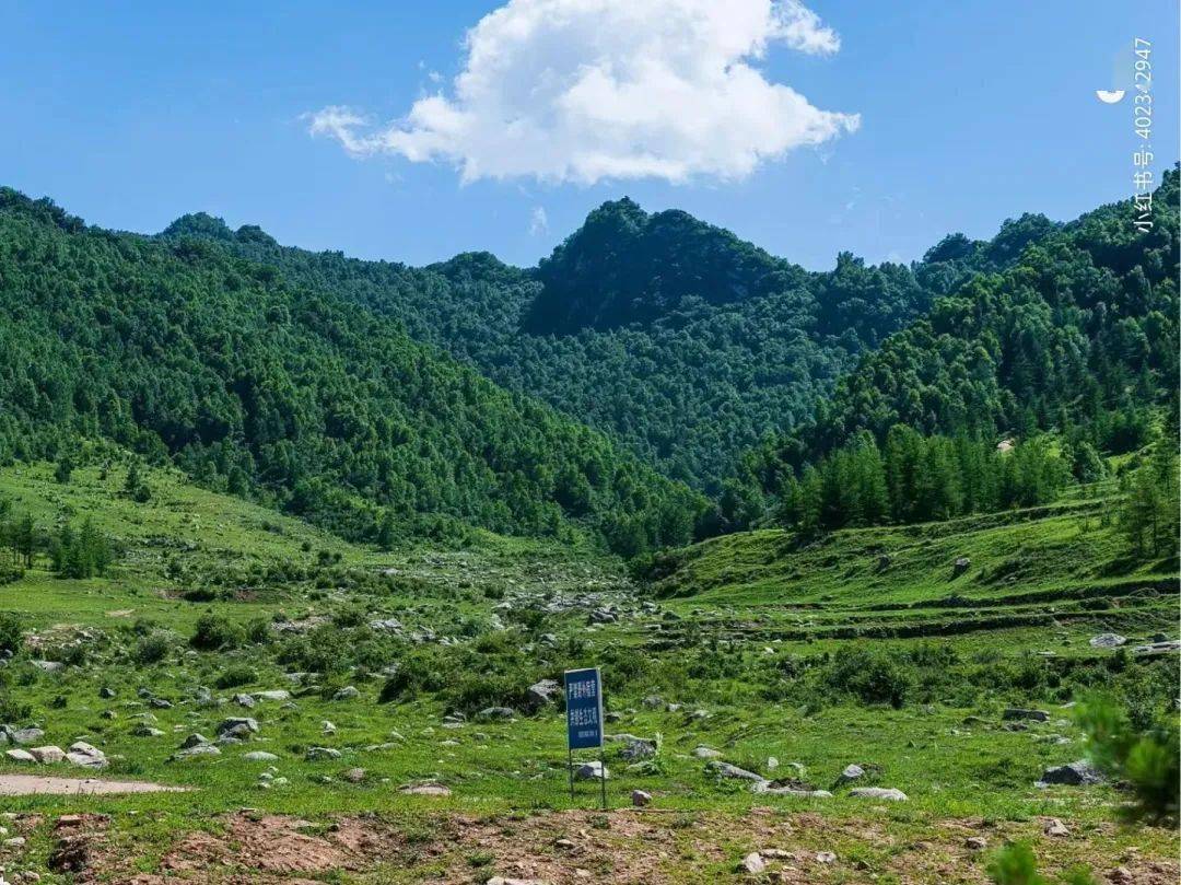 山西最新發布的這20條鄉村旅遊線路,趁小眾沒人趕緊去_晉城_莊村_文化