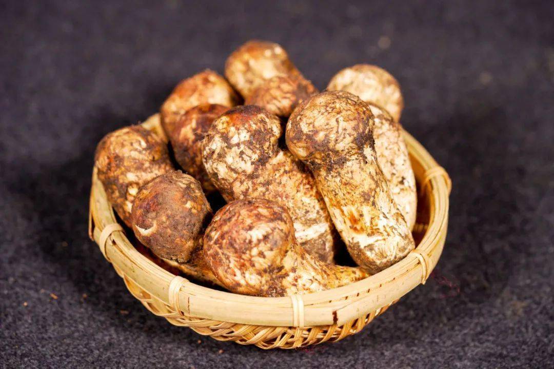 q2:不同规格(4-6cm,5-7cm,7-10cm)的松茸该如何选择?