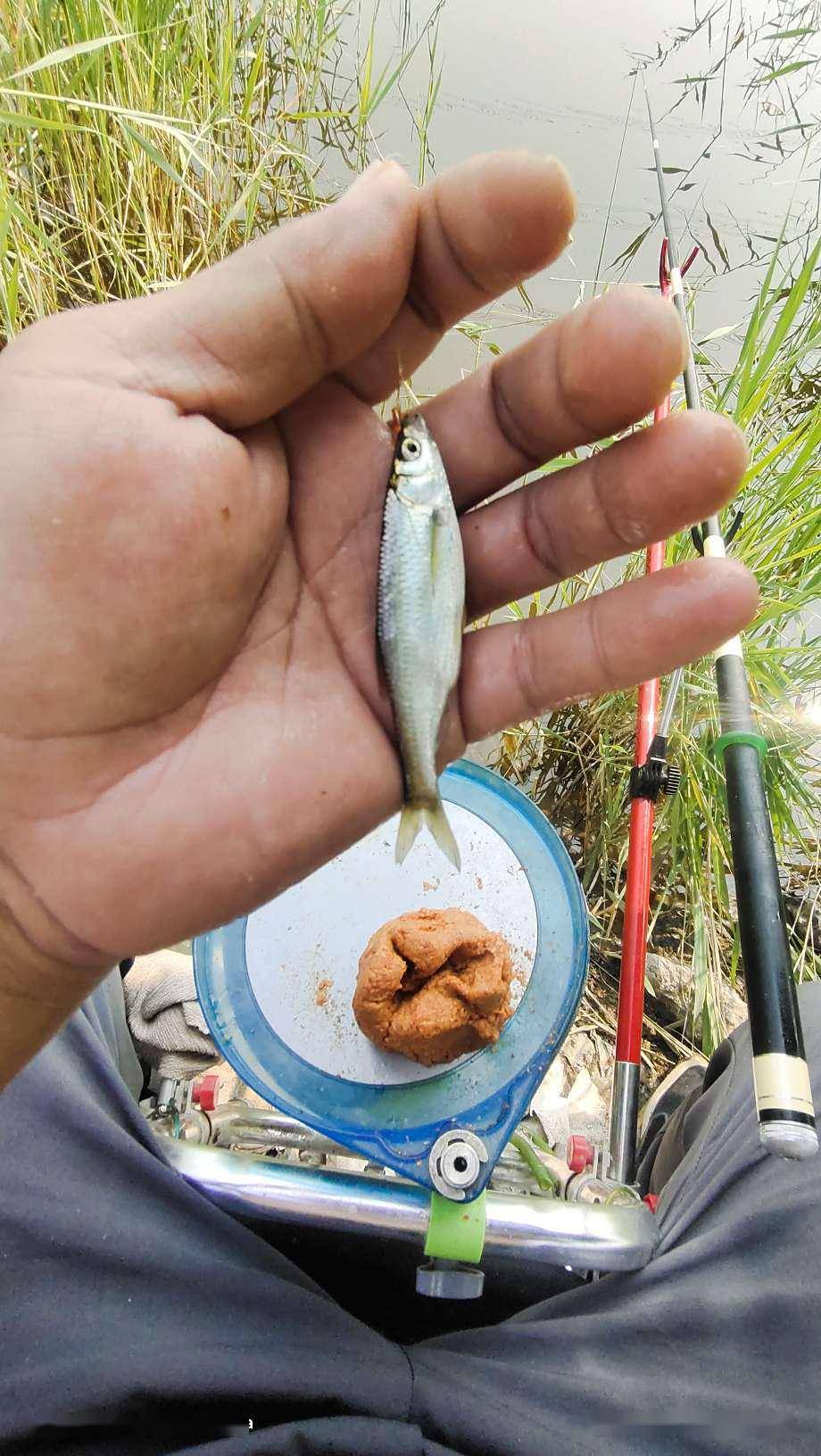 上魚以後,線咋鬆了呢,竿子沒回節啊,仔細一瞅,竿稍繩上的魚線咋沒有了