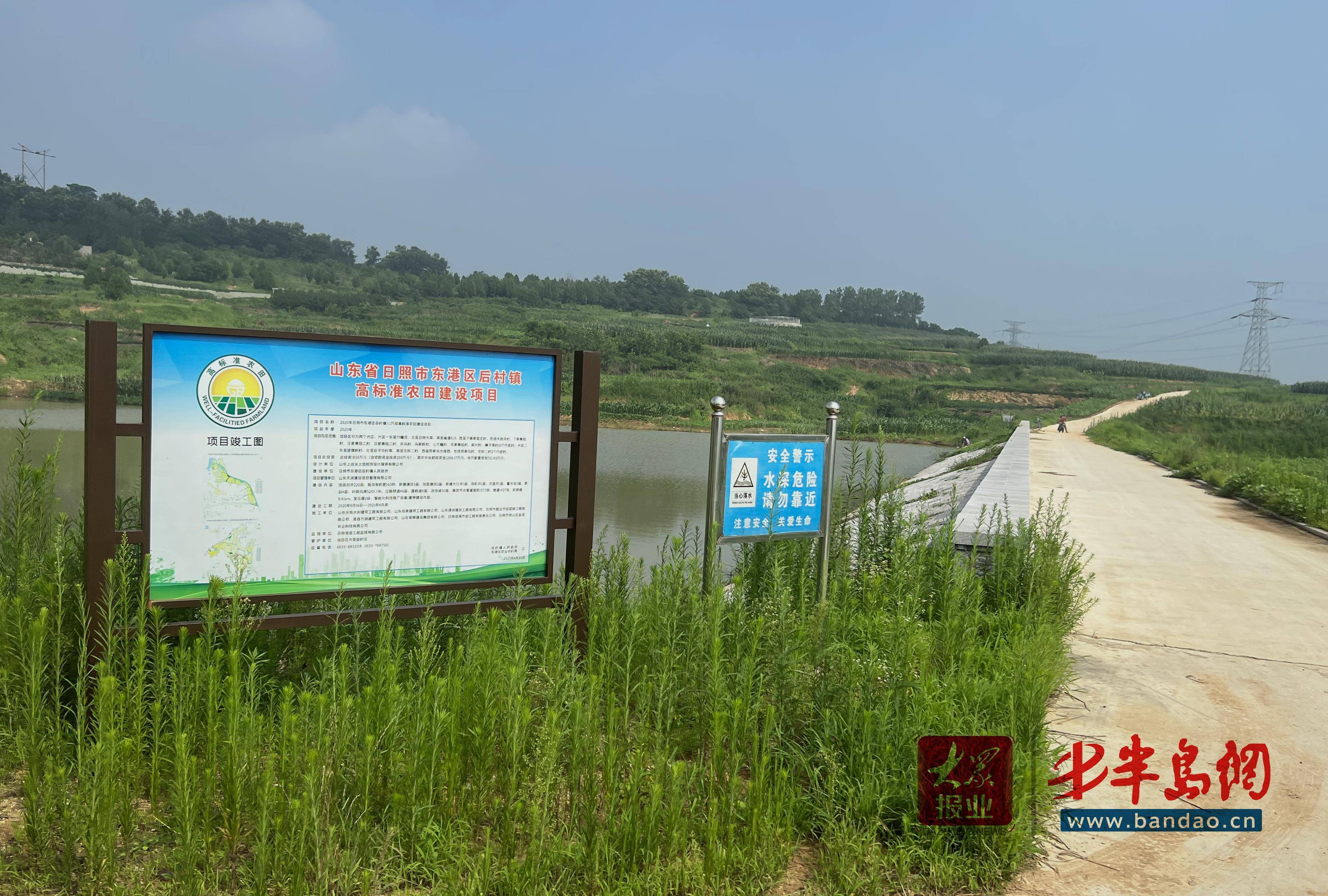 高效农业+生态旅游+特色产业 东港区正全力打造乡村振兴新样板