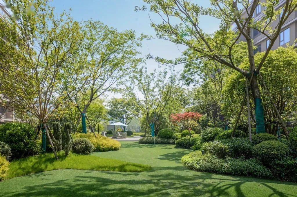 浪漫,在林下_景观_摄影_重庆