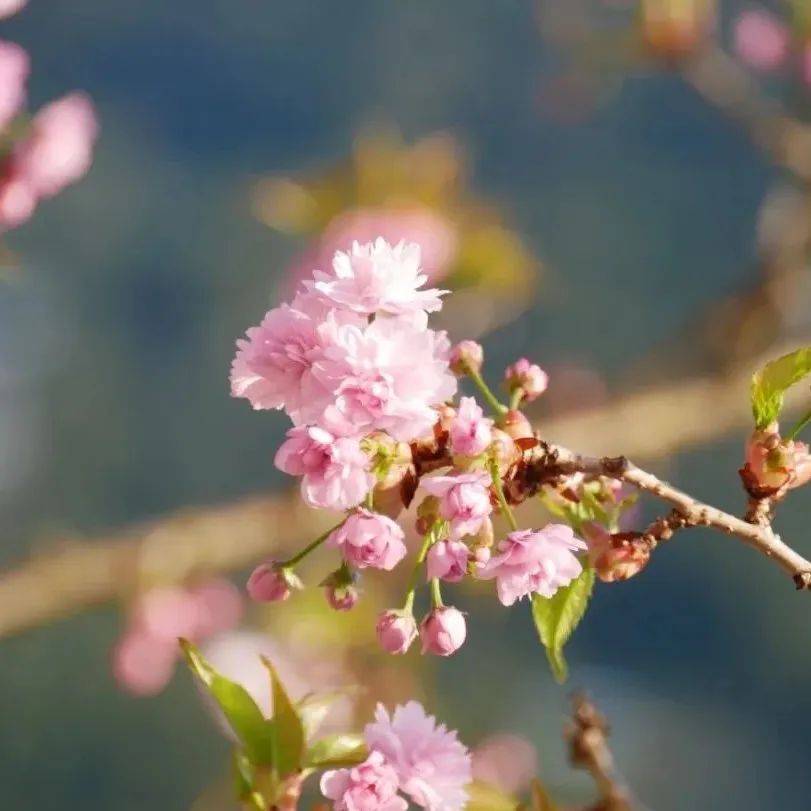 充实自己,终见美好_弗莱明_经营_生活