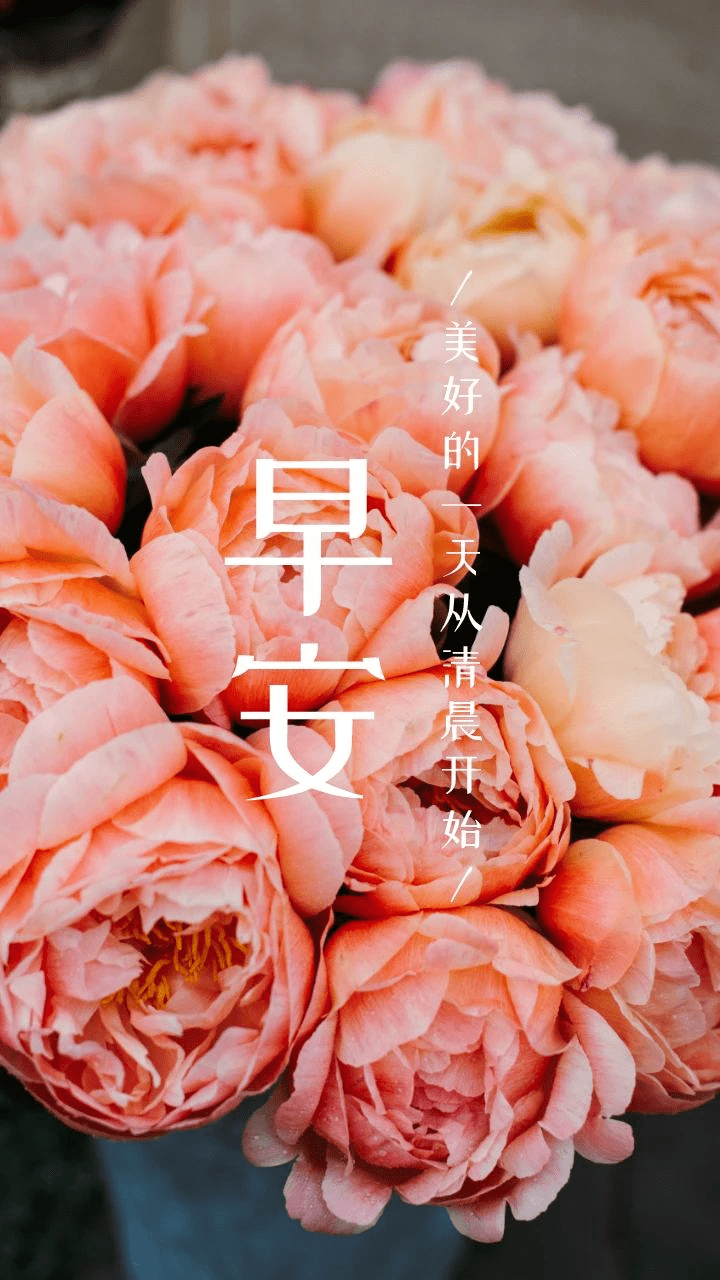 早安正能量语录图片精选|人生就是一场旅行，前行路上处处皆风景