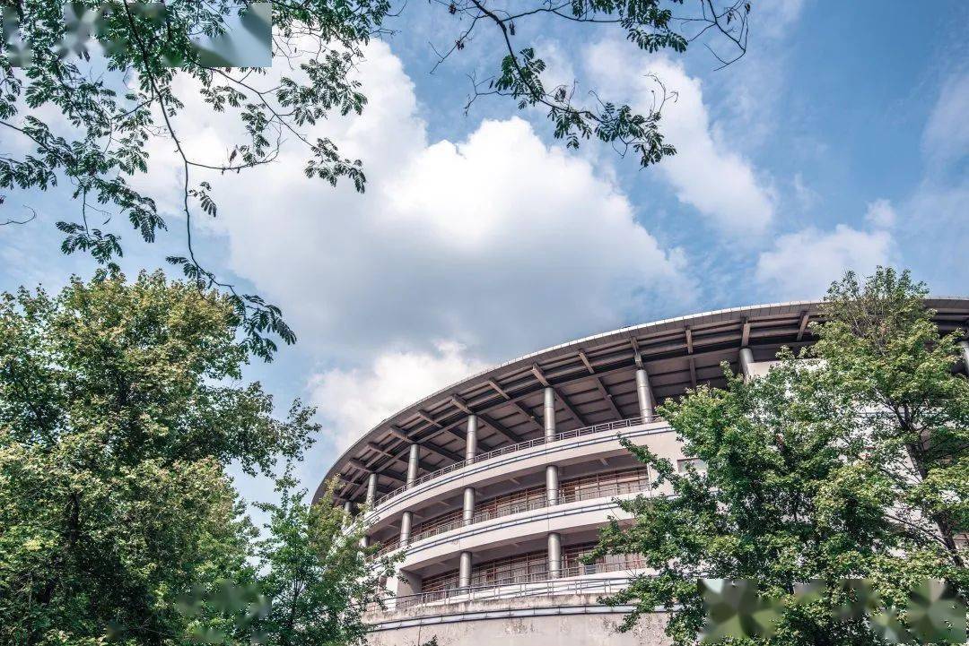 今日立秋 | 藏在浙江农林大学校园里的美好时光_夏日_东湖_夜幕