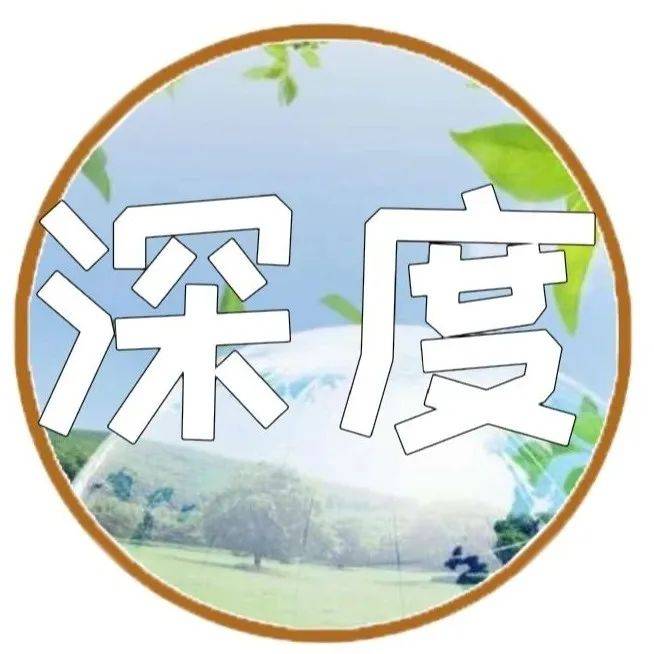 别高估关系，别低估生活_一个人_都能_朋友
