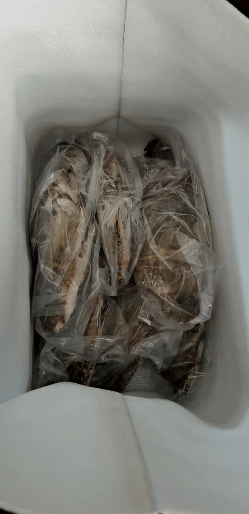 【舟山·新鲜梭子蟹|京东/顺丰冷链】仅109元享价值218元新鲜梭子蟹3