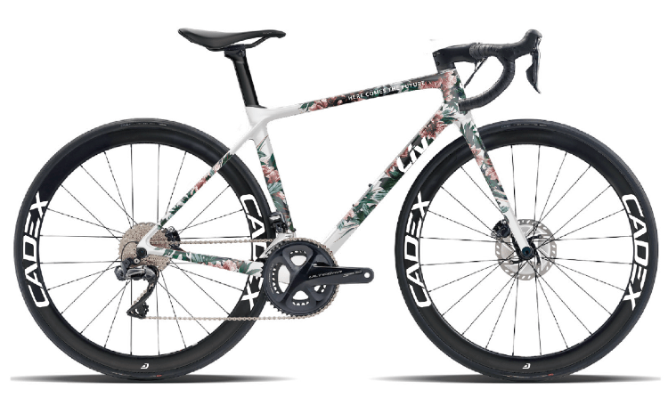 liv racing xstra(丽芙-斯特拉车队)human powered health(人本健康