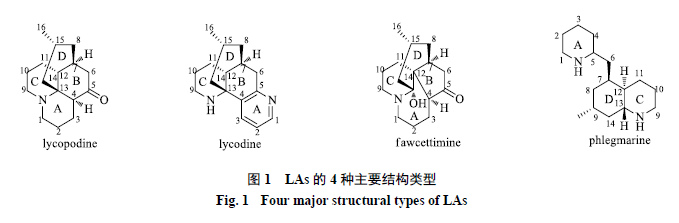 Lycodine 石松生物碱化学成分和生物活性研究进展_石杉_植物_结构