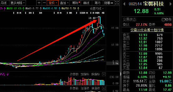 宝馨科技 陈东_宝馨科技苏州_宝馨科技 重组