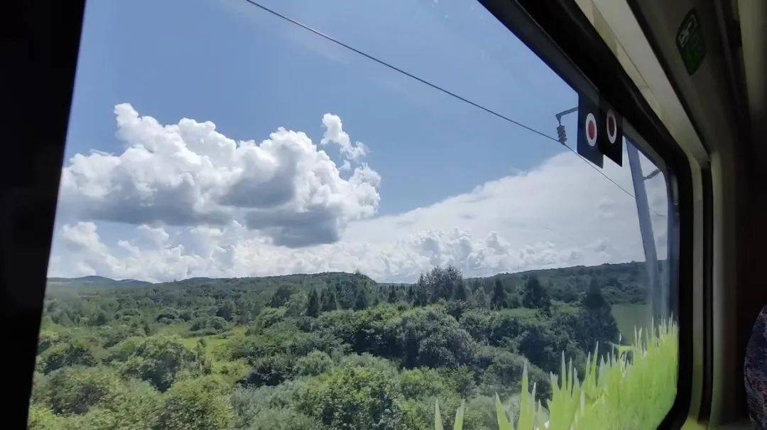 白敦高铁: “森林高铁”跑出旅游发展加速度