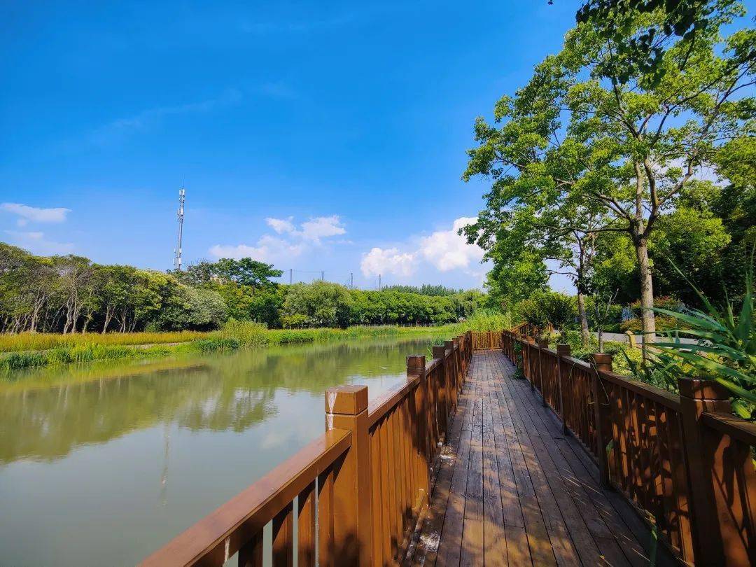 市林长办赴长宁区虹桥体育公园调研林长制工作