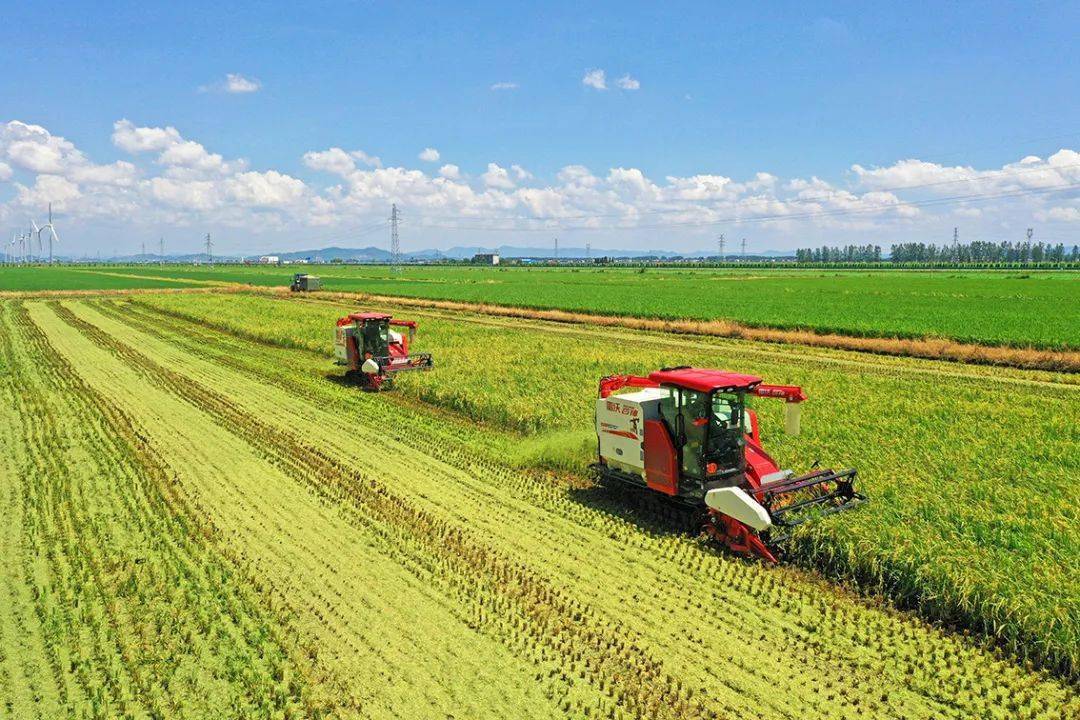 大美中国i自然安徽宿松沃野良田好丰景