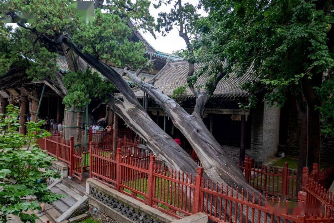 全国重点文物保护单位——晋祠 | 贺子毅摄影_圣母_山西省_金人台