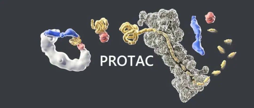 PROTAC递送系统最新研究进展及未来发展趋势_临床_分子量_药物