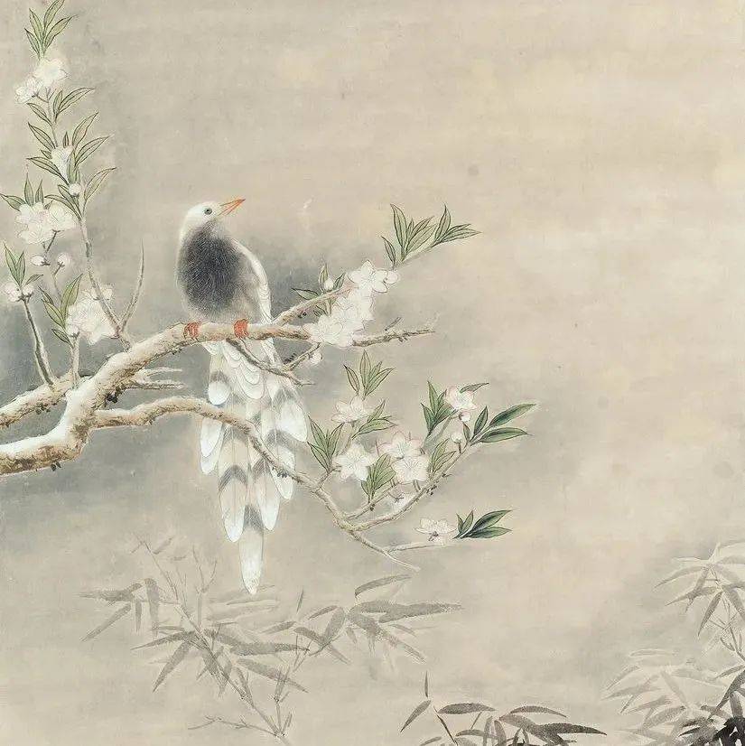 张大千：说到画竹忌讳，几人知？_竹竿_地方_叶少